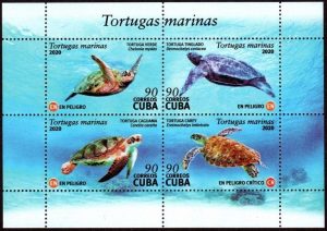 Tortugas Marinas