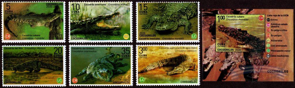 2020.10.09 Cocodrilos
