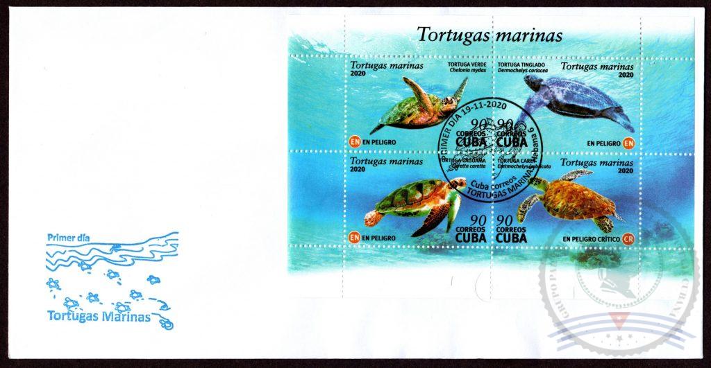 SPD 2020.11.19 Tortugas (variante clara)
