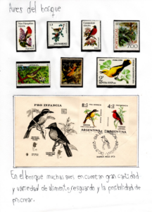 El maravilloso mundo de las aves - Agustín Améndola