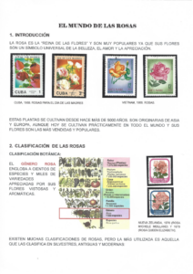 El mundo de las rosas y las rosas del mundo - Beatrice Tomasini