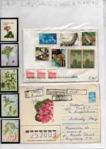 El mundo mágico de las mariposas - M. Trinidad Di Pietro