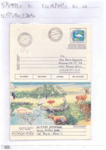 Pajaritos de Colores - Isabella Di Marco